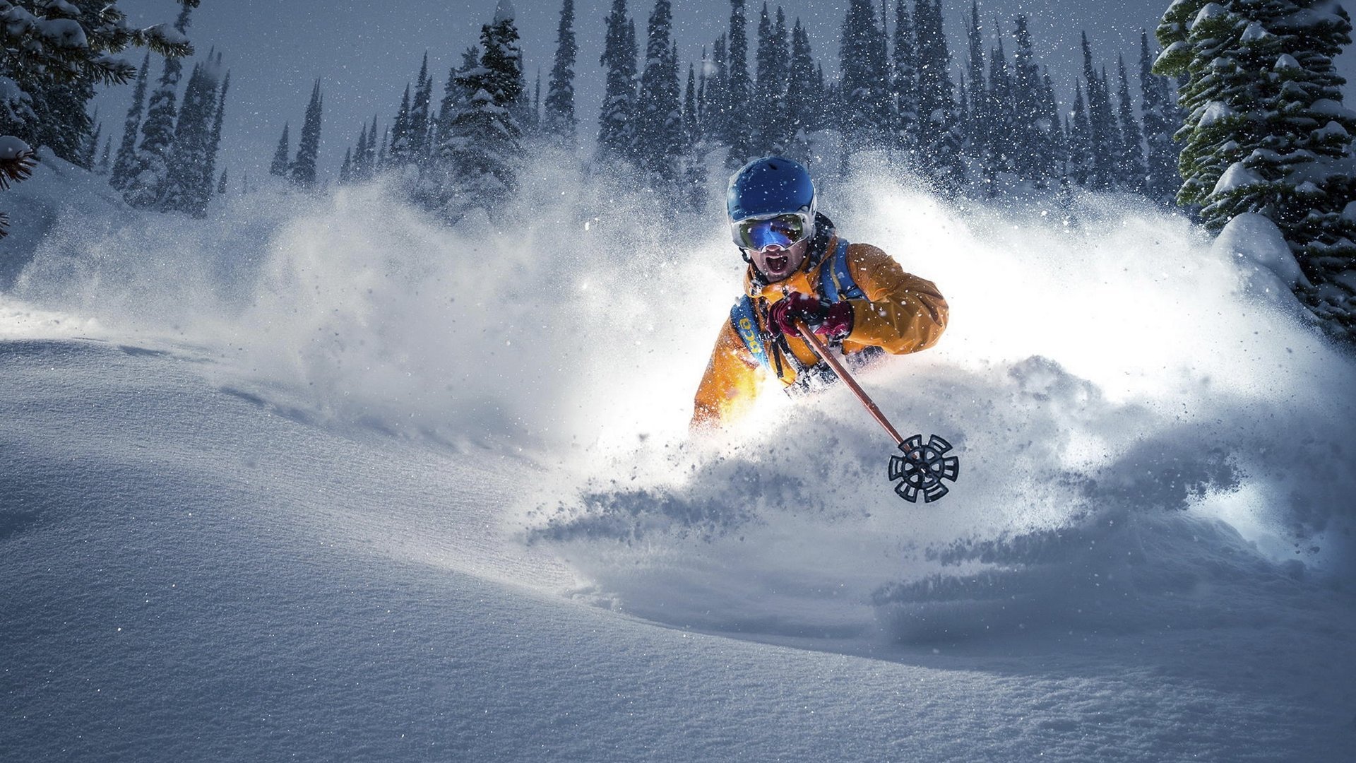 雷速体育-2026世界杯F组巅峰对决，高卢雄鸡横扫郁金香，库尔图瓦封神一战定义经典
